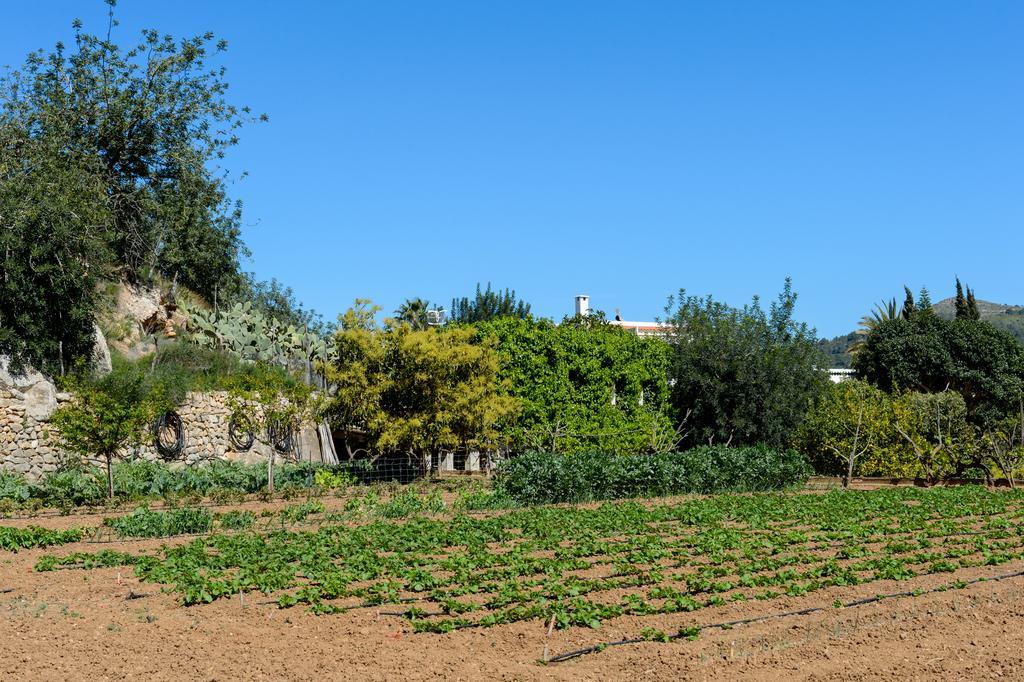 Valley Club Ibiza - Boutique Agroturismo Villa Sant Joan De Labritja Exterior photo